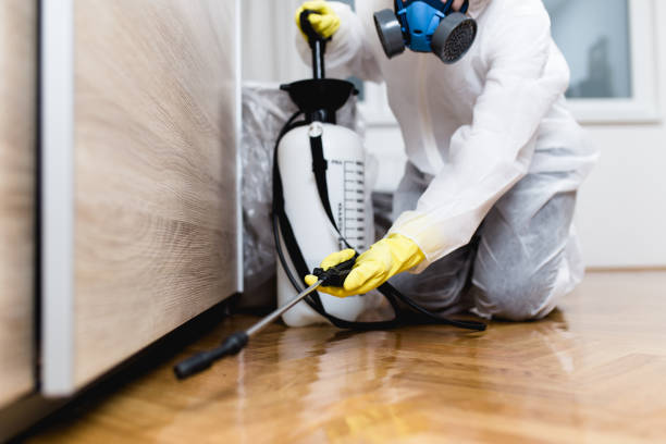 Best Local Pest Control Services  in Fairport, NY