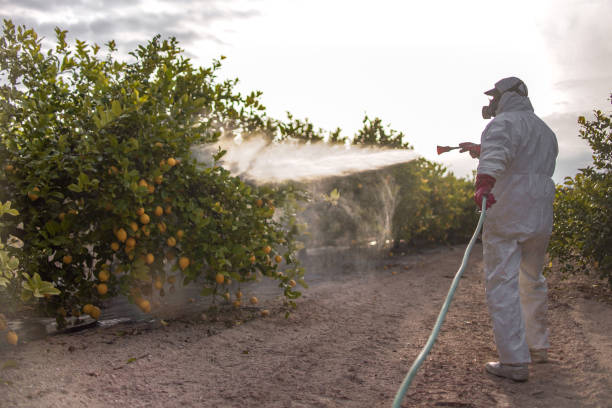 Best Emergency Pest Control  in Fairport, NY