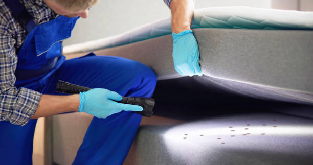 Best Pest Removal Services  in Fairport, NY