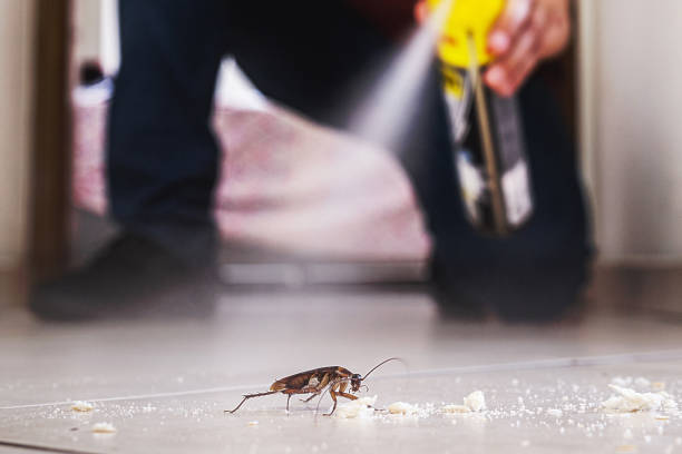 Wildlife Control Services in Fairport, NY