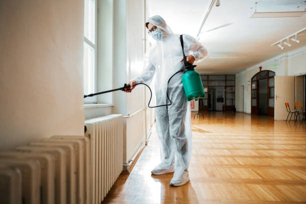 Wasp Removal Services in Fairport, NY