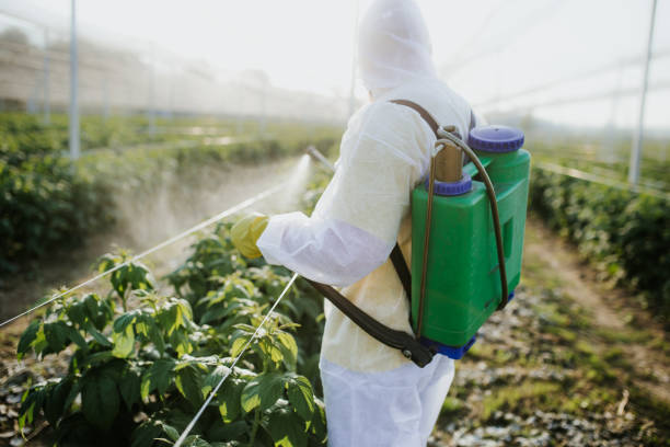 Best Commercial Pest Control Services  in Fairport, NY